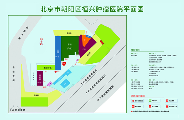 操逼逼逼逼北京市朝阳区桓兴肿瘤医院平面图